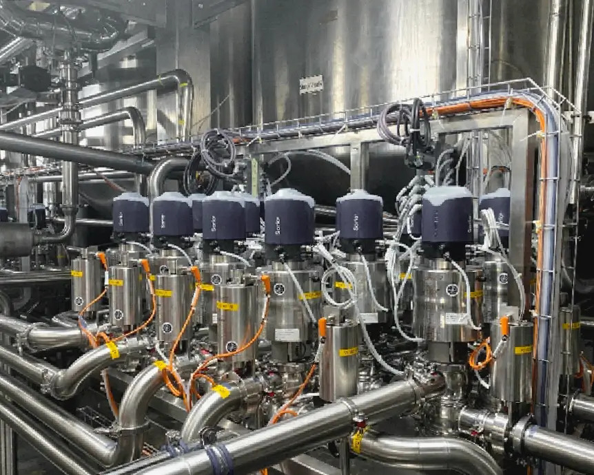 EPC Trialogix Rockitt (5)