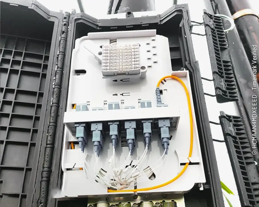 EPC-Trialogix-Biznet (2)