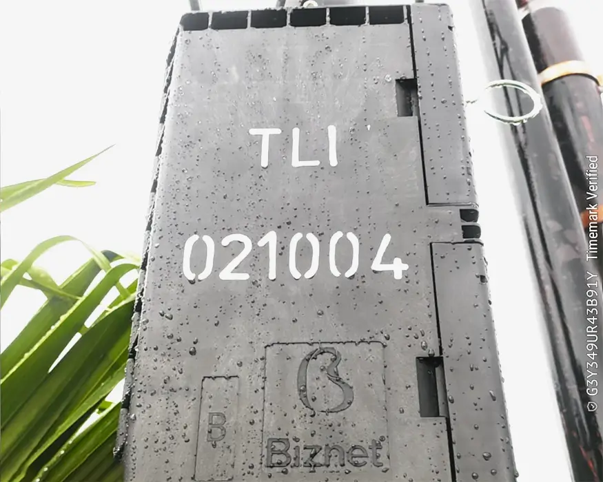 EPC-Trialogix-Biznet (3)