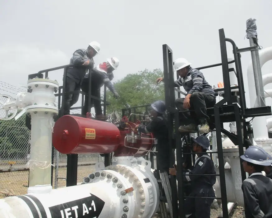 EPC-Trialogix-Soehat (3)