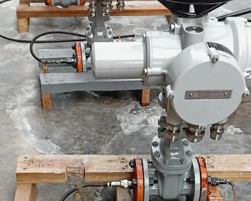 EPC-Trialogix-Vale (2)