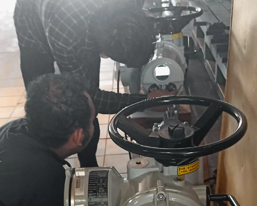 EPC-Trialogix-Vale (3)