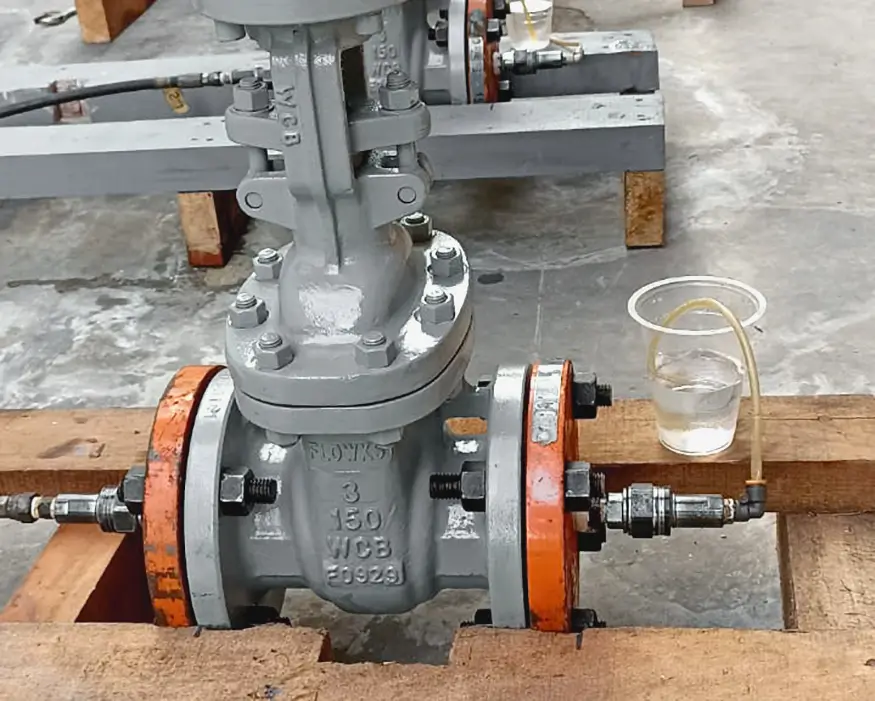 EPC-Trialogix-Vale (5)