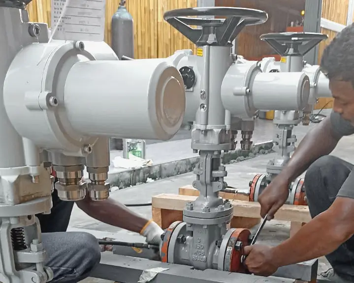 EPC-Trialogix-Vale (6)